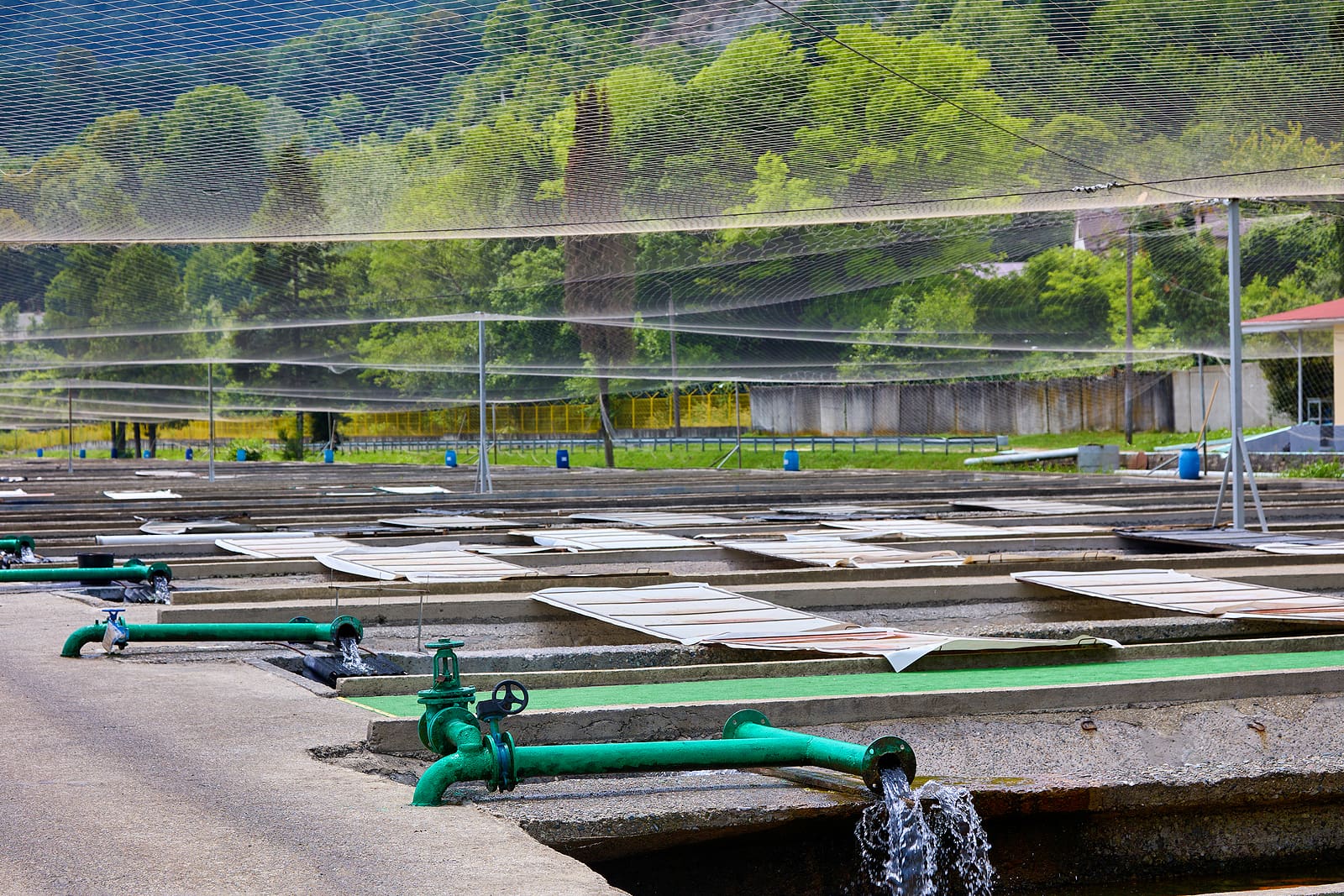 Oregon - Fishing Disaster - Federal Support