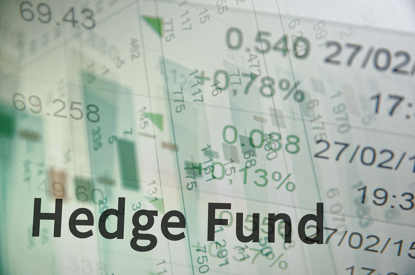 Understanding Hedge Funds