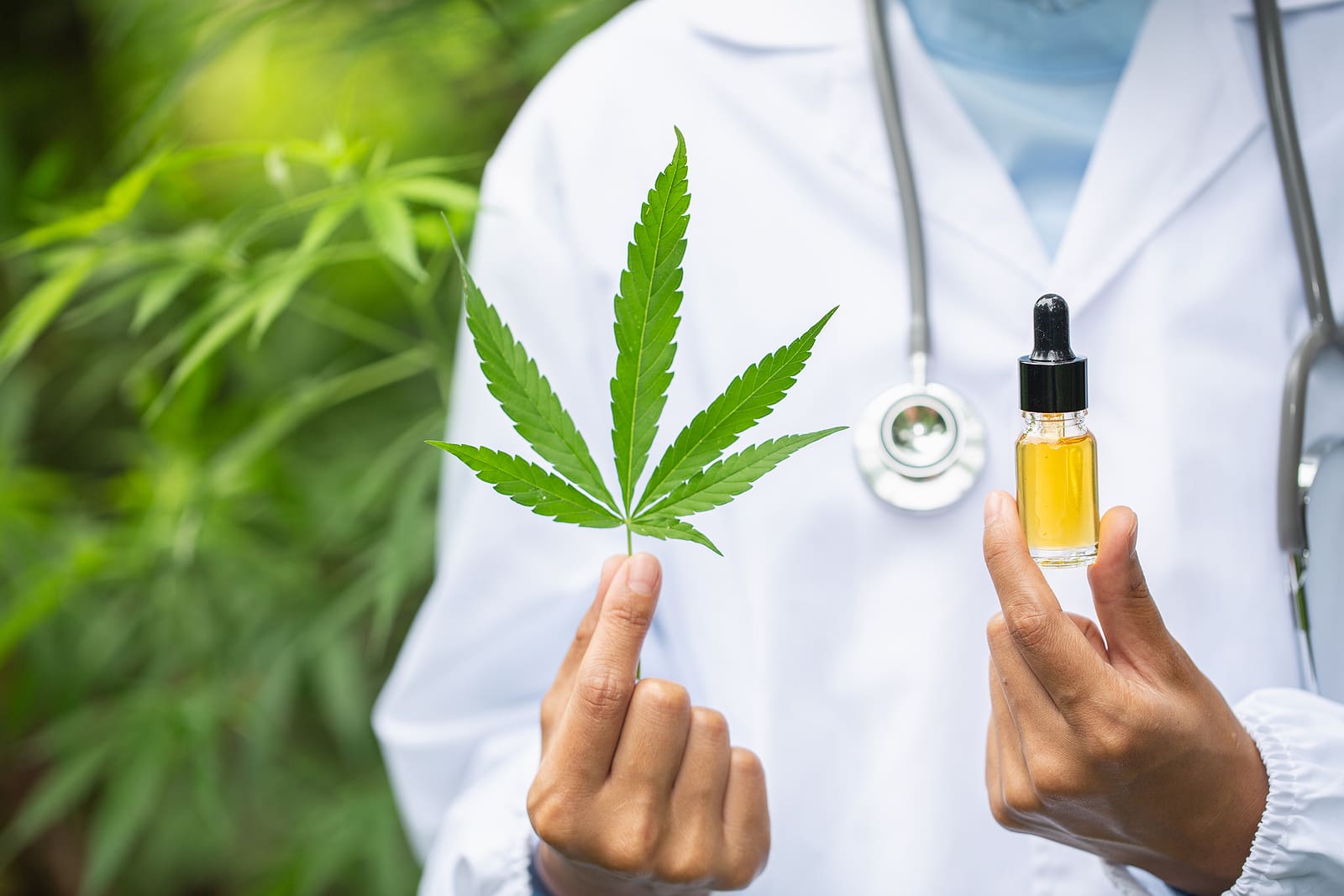 Kratom vs CBD: Differences and Benefits