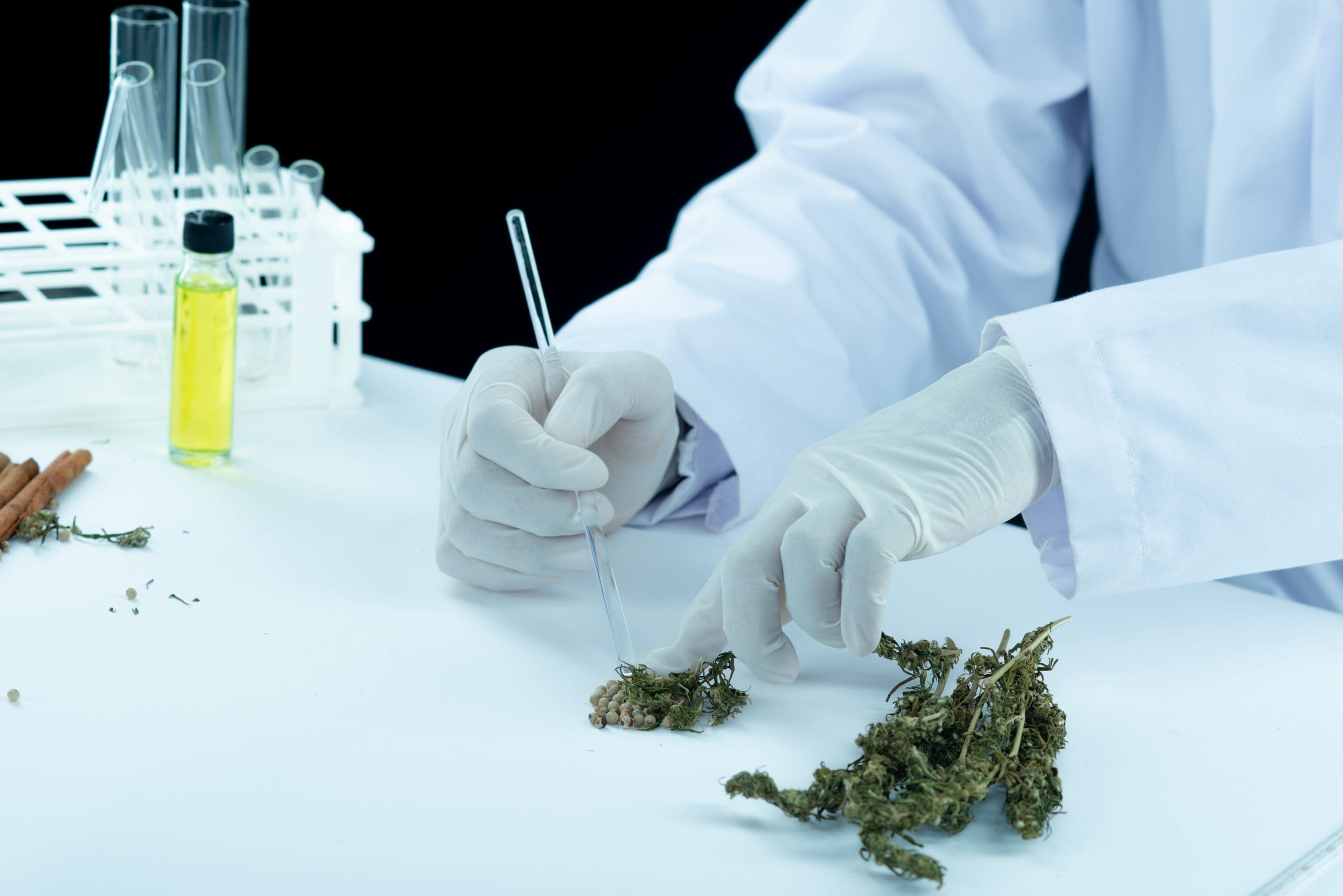 Things to Know About Delta-8-THC: The Benefits and Concerns