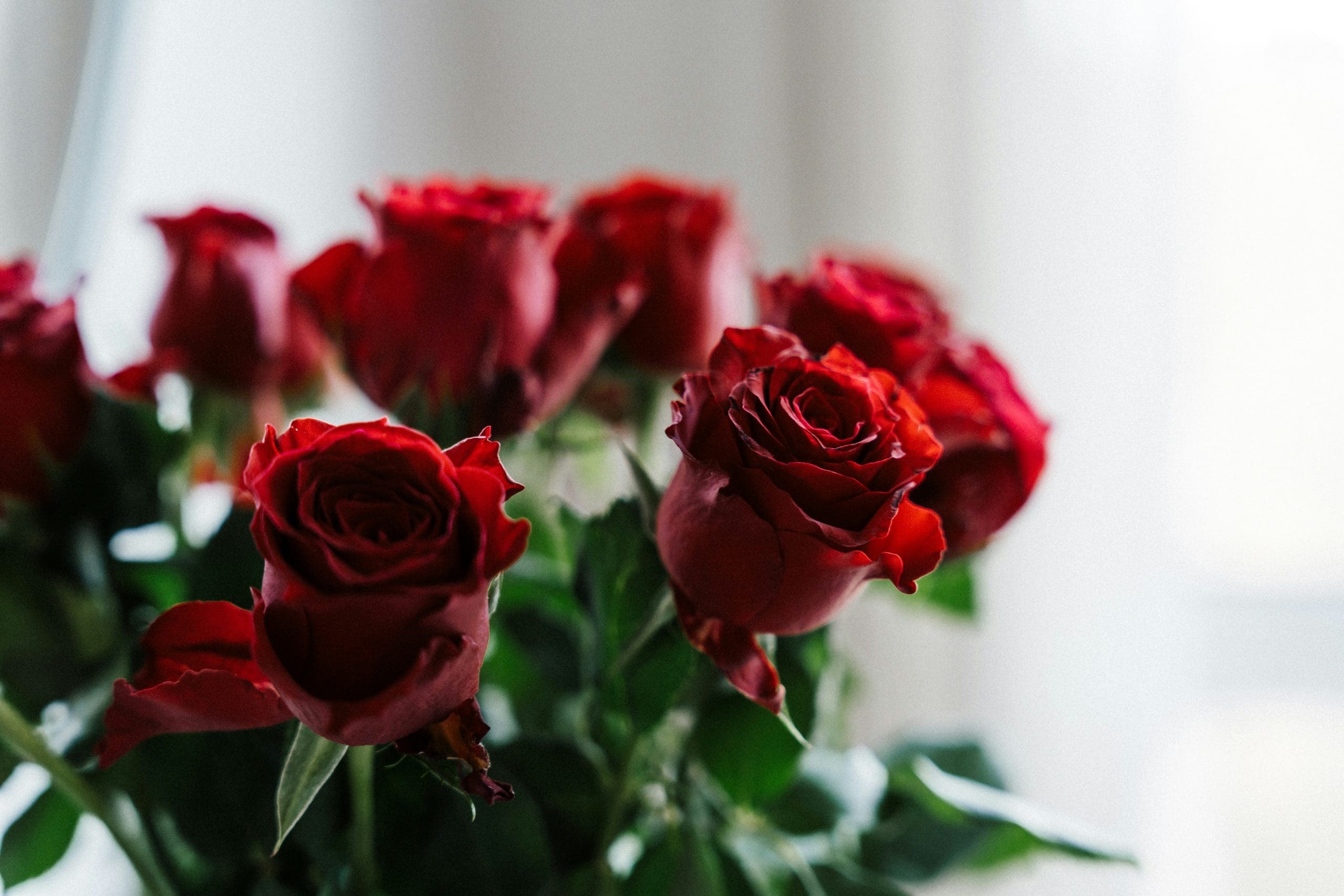 How International Flower Delivery Works: From Order To Delivery