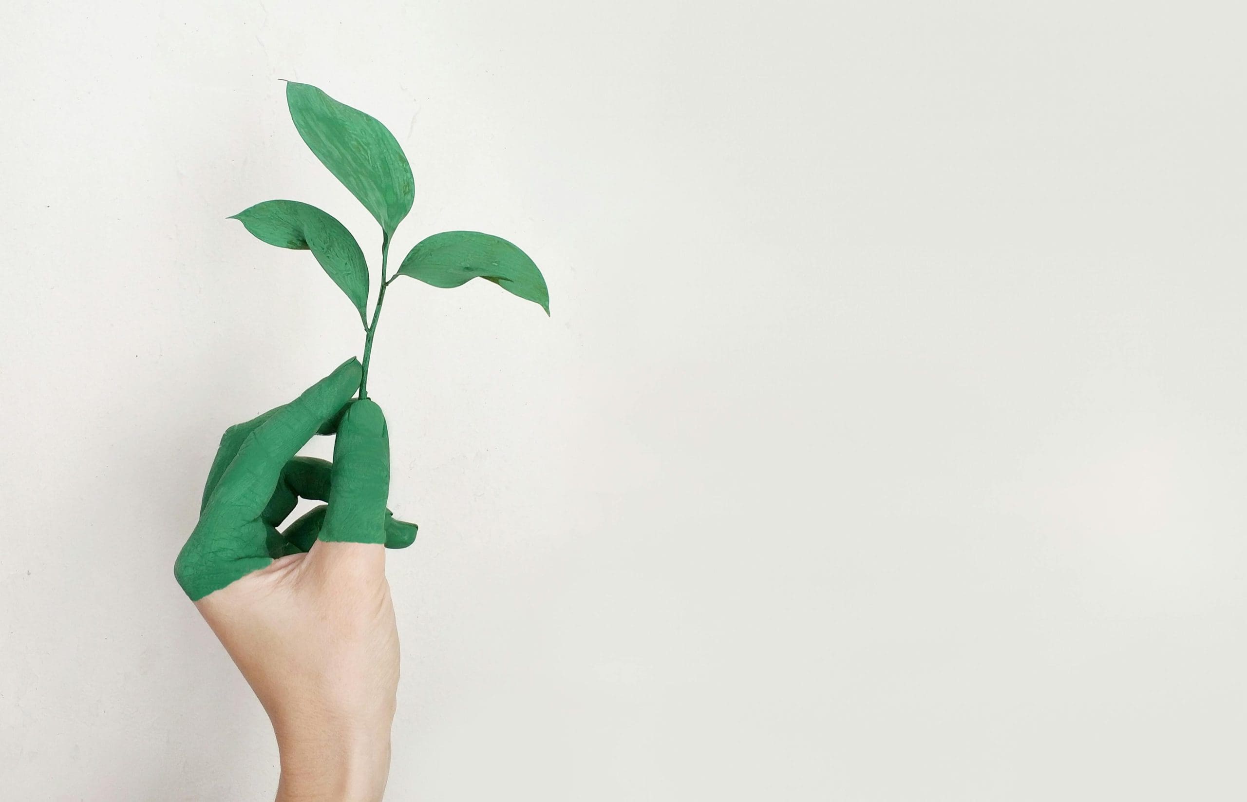 How Sustainable Choices Can Improve Your Health