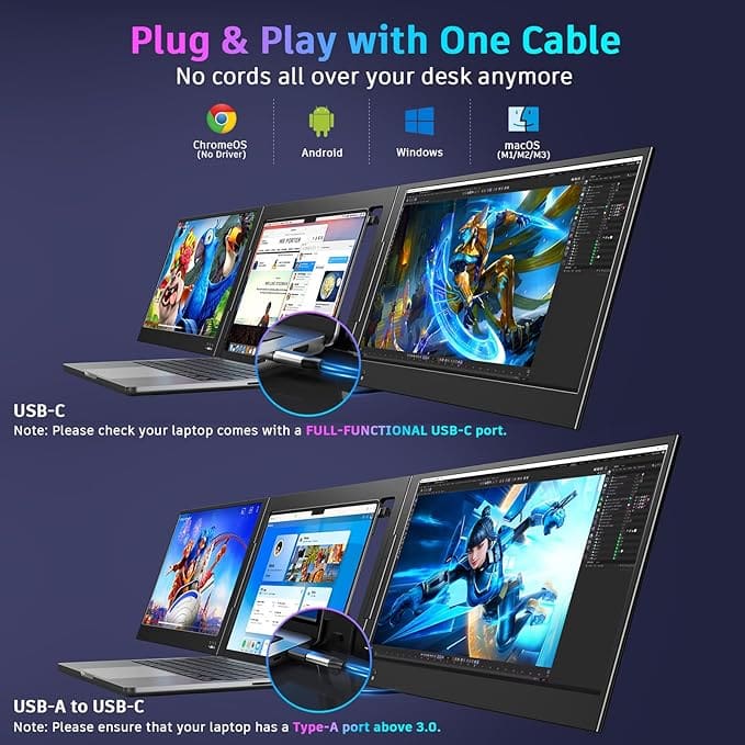 Portable Monitor