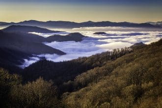 Pigeon Forge Trip Planning That Doesn’t Feel Like a Job
