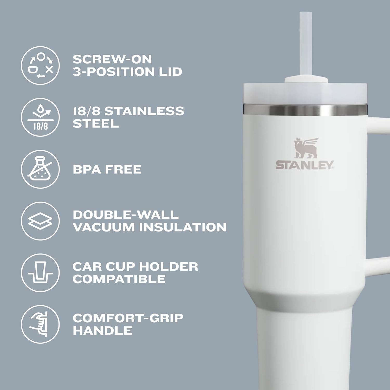 Double Wall Insulated Gym Water Bottle with Straw