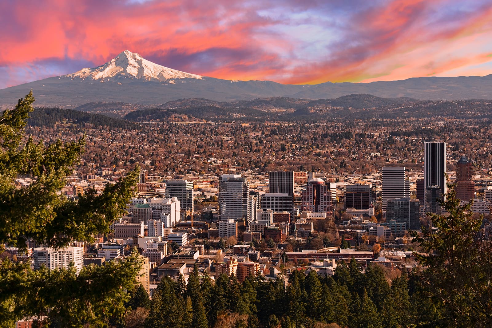 Portland Unrest: Violence, Hypocrisy, and the Erosion