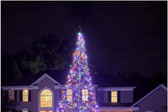 Christmas Light Tree Outdoor 20ft multicolor LED display