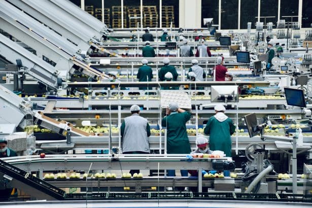 How Vertical Integration Can Transform Food Production