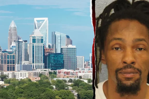 charlotte skyline thomas haynes 02