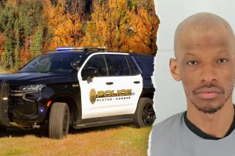 kansas woman stabbed park attack