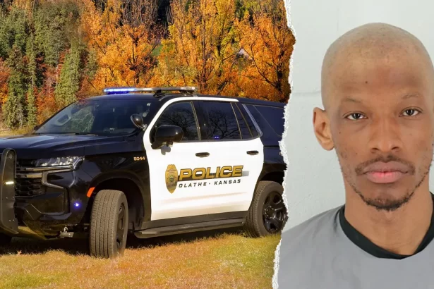 kansas woman stabbed park attack